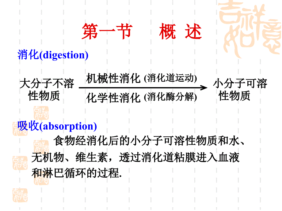 《消化和吸收》PPT课件_第2页