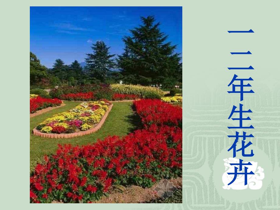 花卉学概述PPT课件_第1页