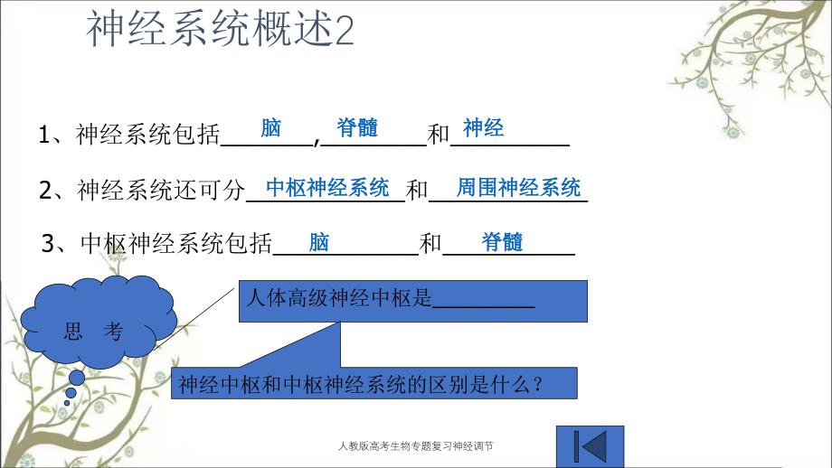 人教版高考生物专题复习神经调节_第4页