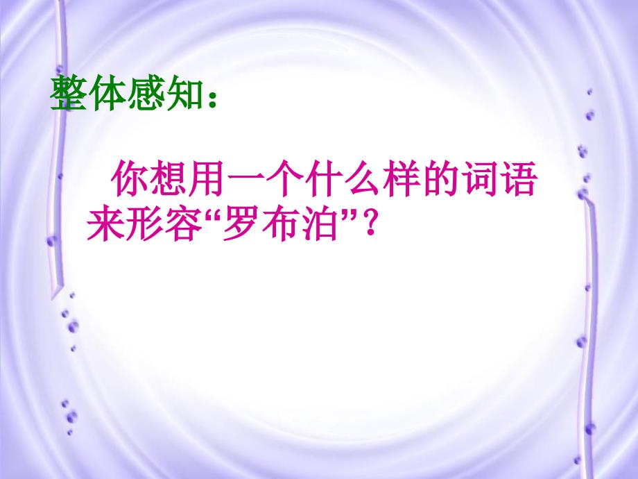 罗布泊消失仙湖的课件_第3页