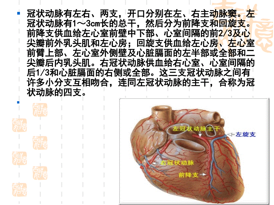 冠状动脉搭术患者护理查房课件_第2页