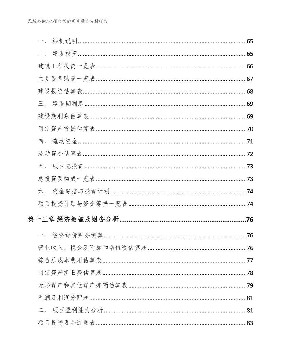 池州市氢能项目投资分析报告范文_第5页