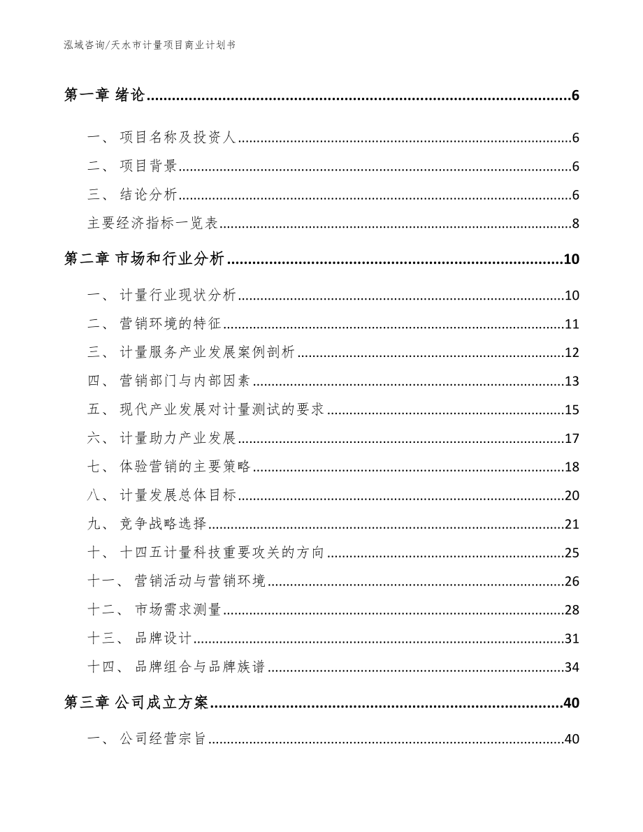 天水市计量项目商业计划书_第2页