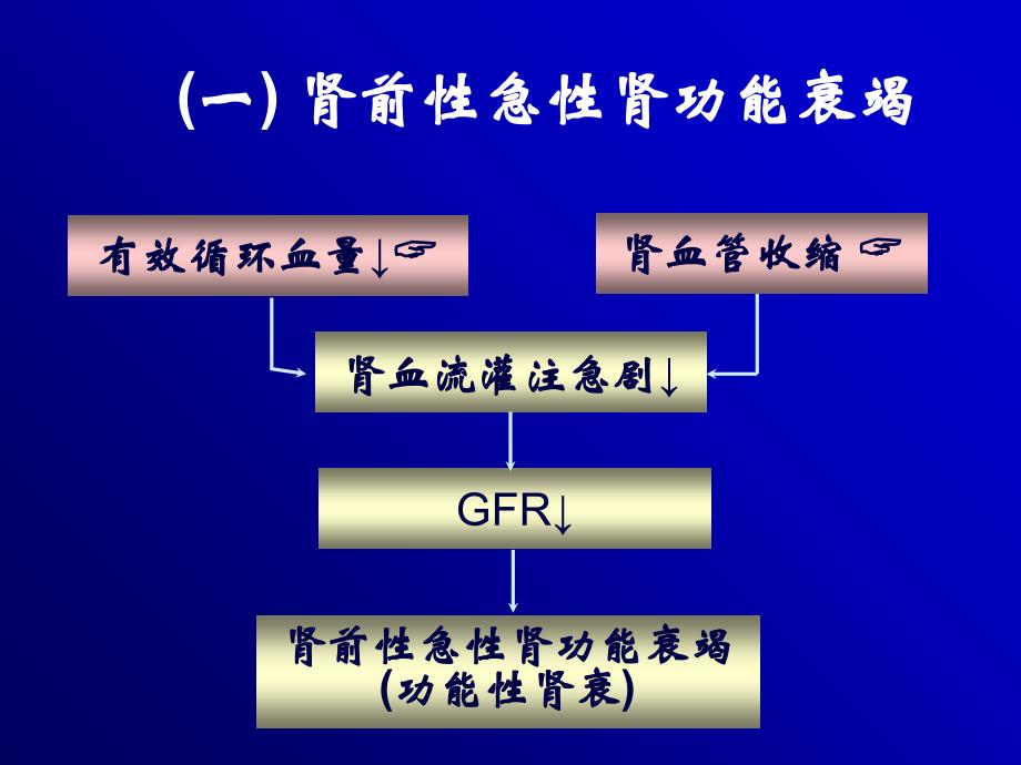 急性肾功能衰竭PPT课件_第4页