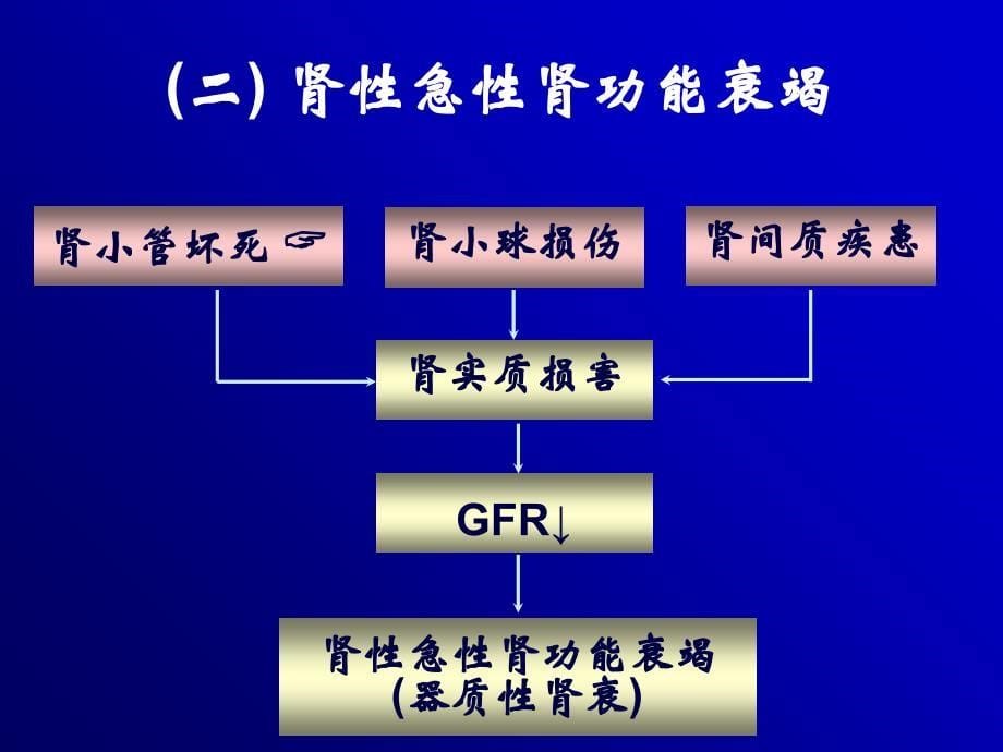 急性肾功能衰竭PPT课件_第5页