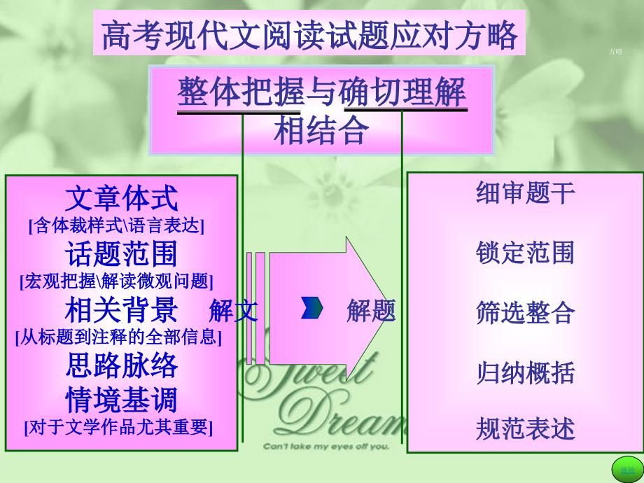 现代文阅读理解专题解析.ppt_第4页