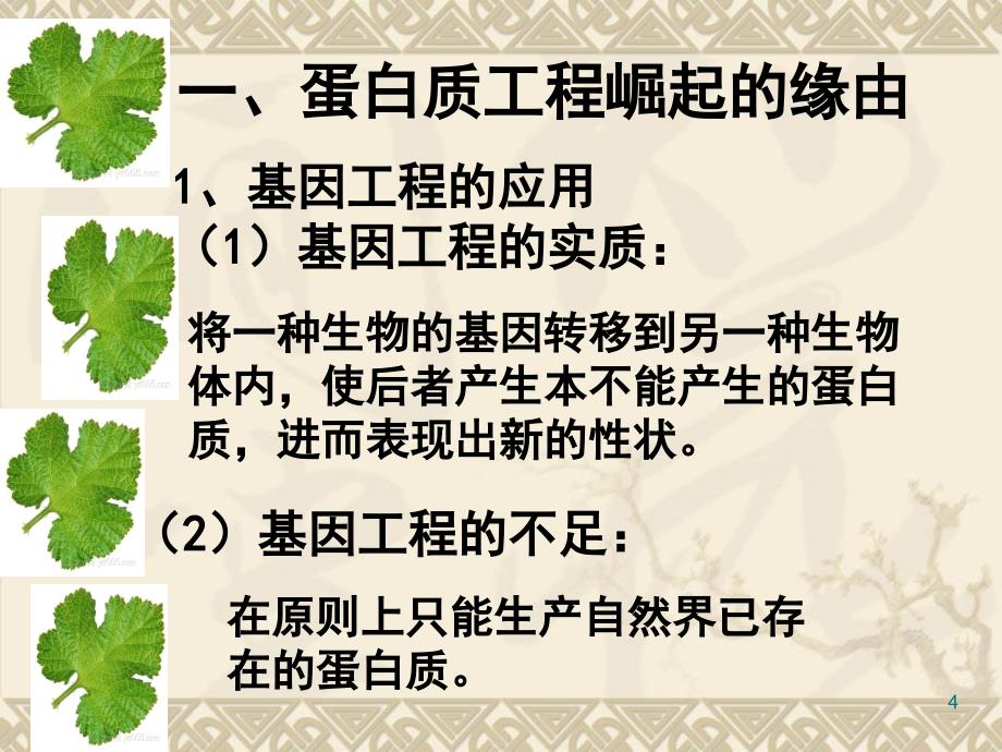 蛋白质工程的崛起讲课分享资料_第4页