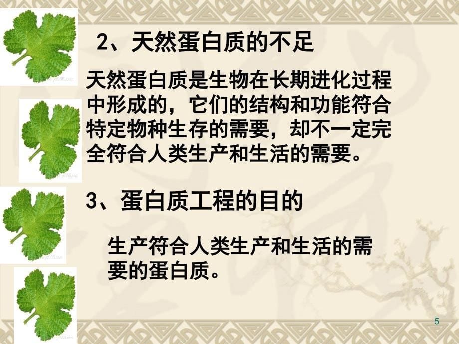 蛋白质工程的崛起讲课分享资料_第5页