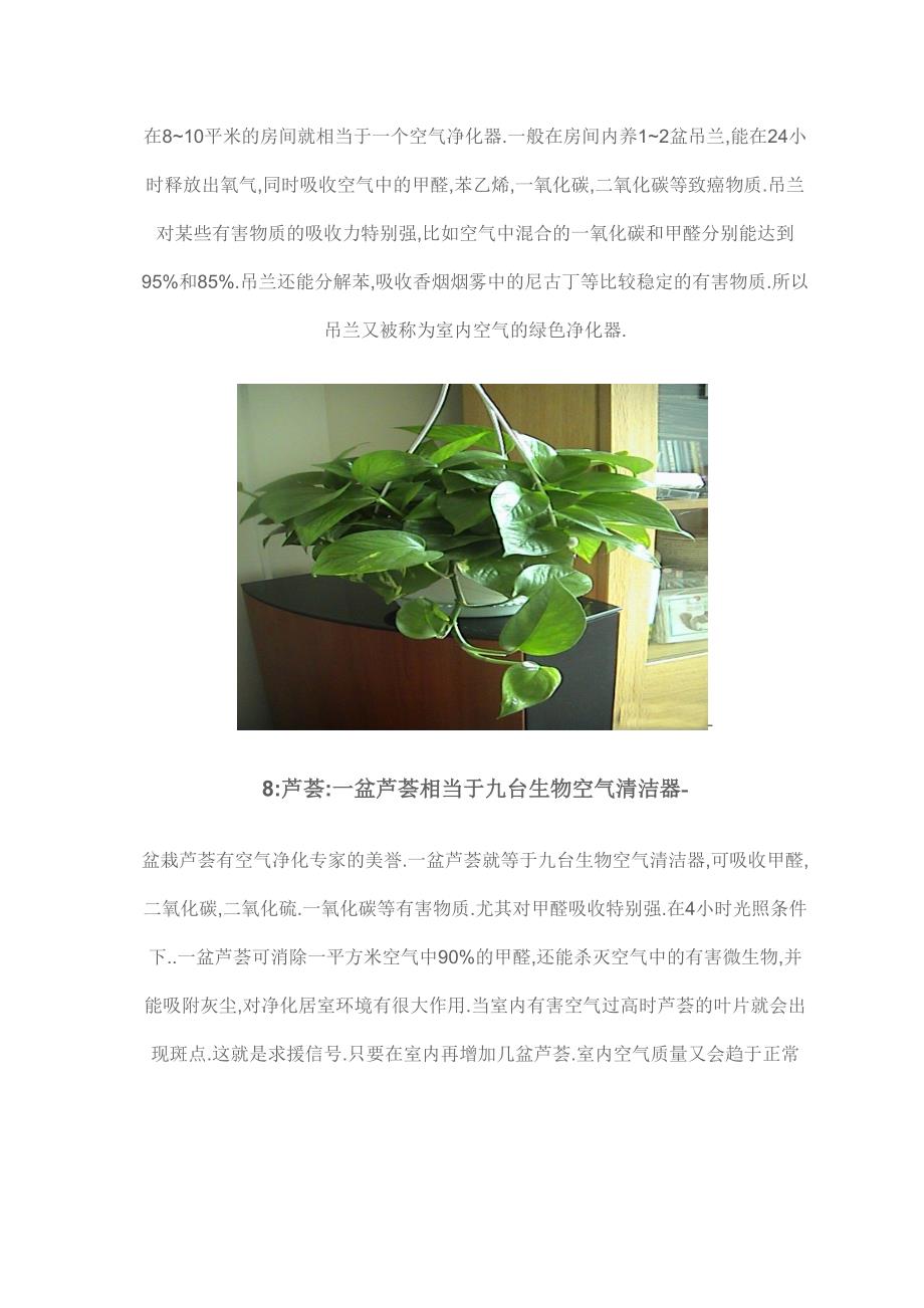 可净化空气的十四种植物.doc_第5页