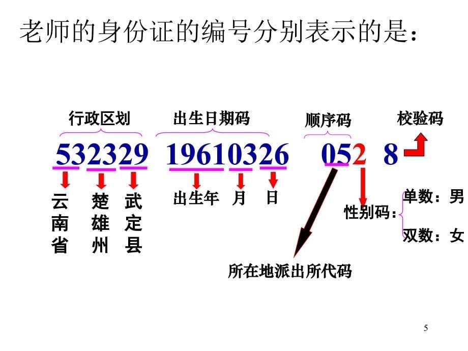 张丽数字与编码_第5页