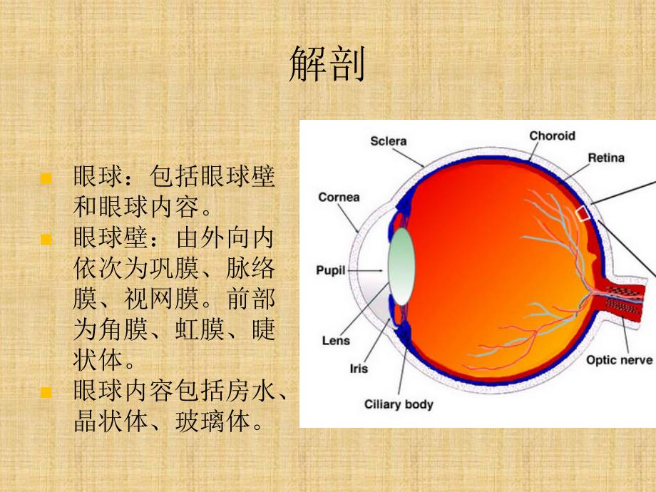 视网膜母细胞瘤影像学表现.ppt_第2页