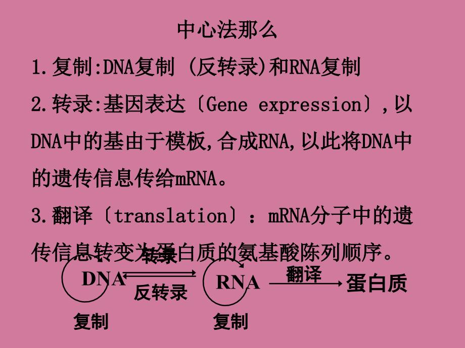 蛋白质的生物合成2ppt课件_第2页