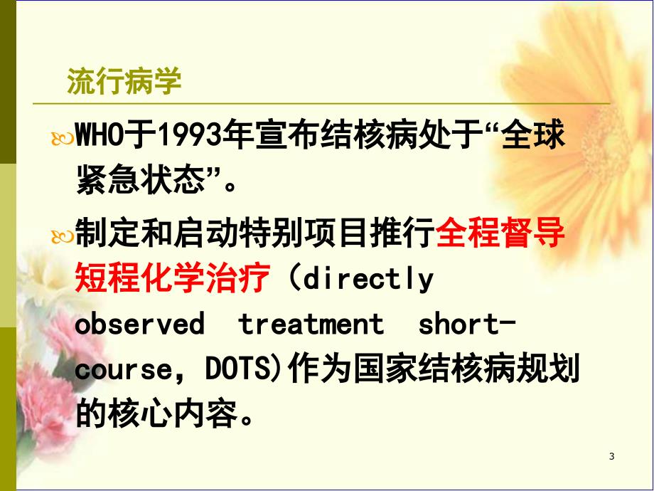 肺结核护理课件_第3页