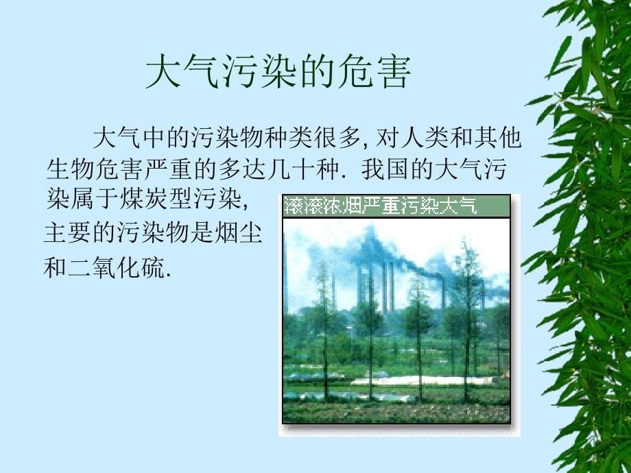 生物：第六章环境污染的危害课件_第5页