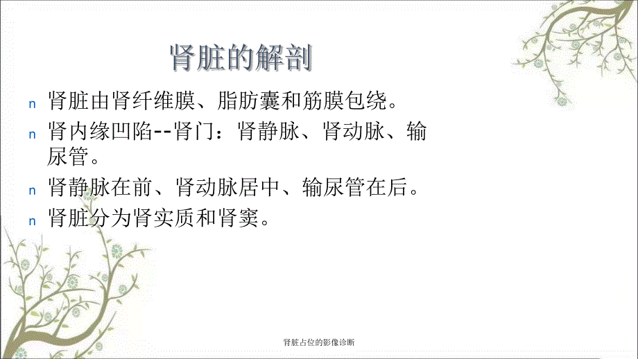 肾脏占位的影像诊断_第2页