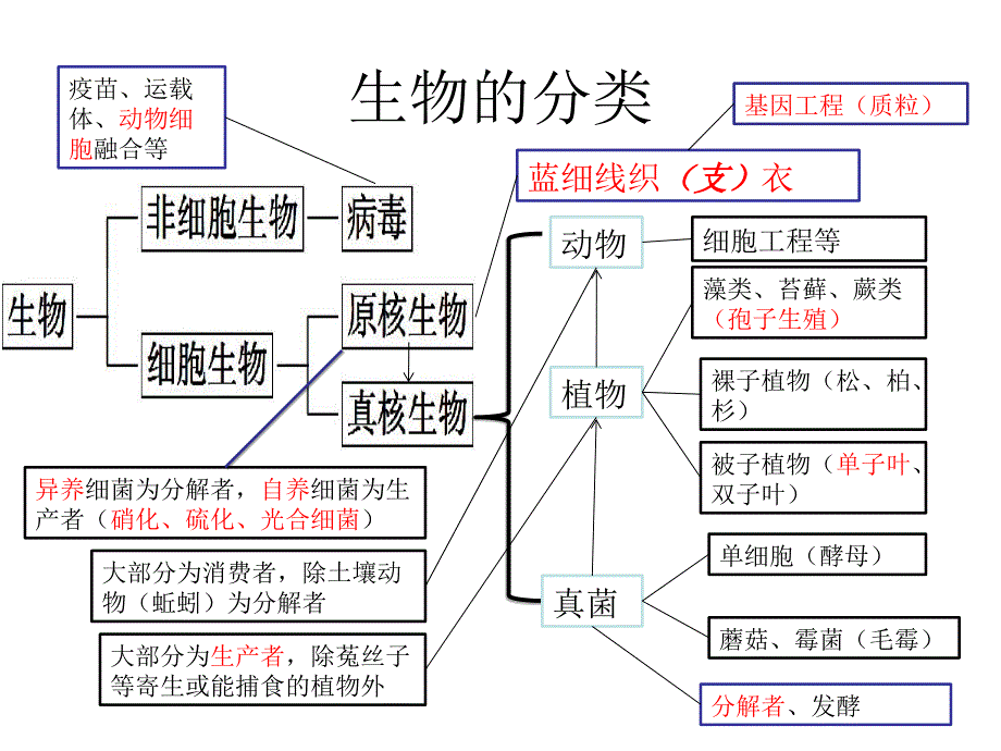 细胞的多样性和统一性.ppt_第2页