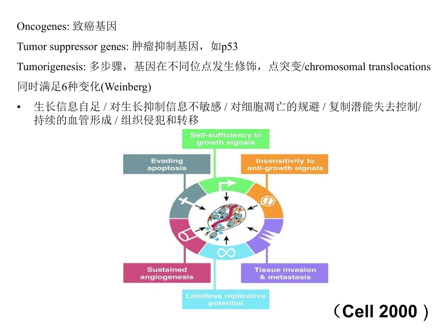 Cell抗肿瘤药物分类_第2页