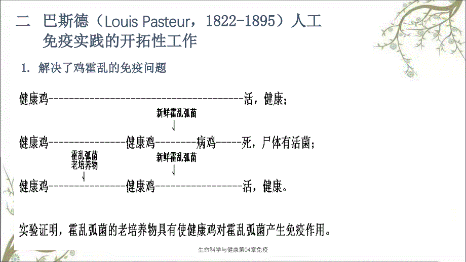 生命科学与健康第04章免疫_第2页