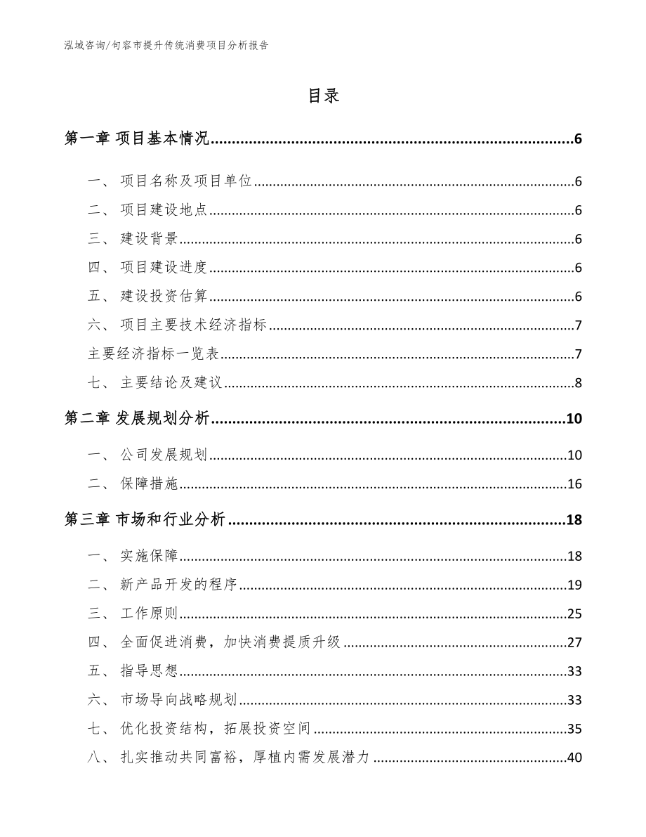 句容市提升传统消费项目分析报告参考范文_第1页