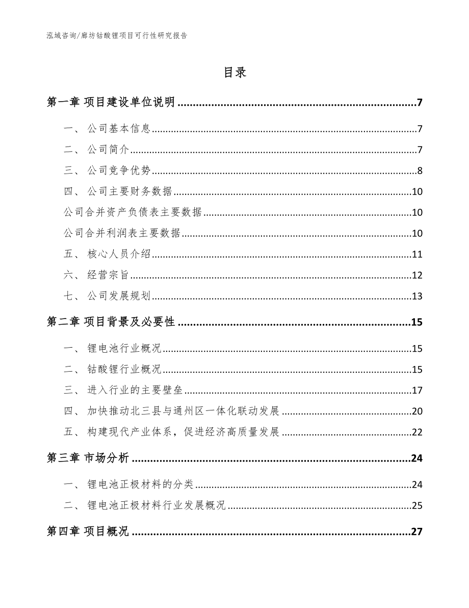 廊坊钴酸锂项目可行性研究报告【范文】_第1页