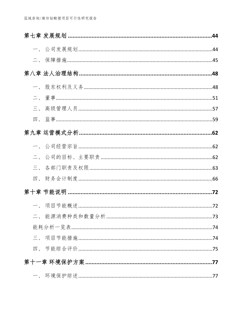 廊坊钴酸锂项目可行性研究报告【范文】_第3页