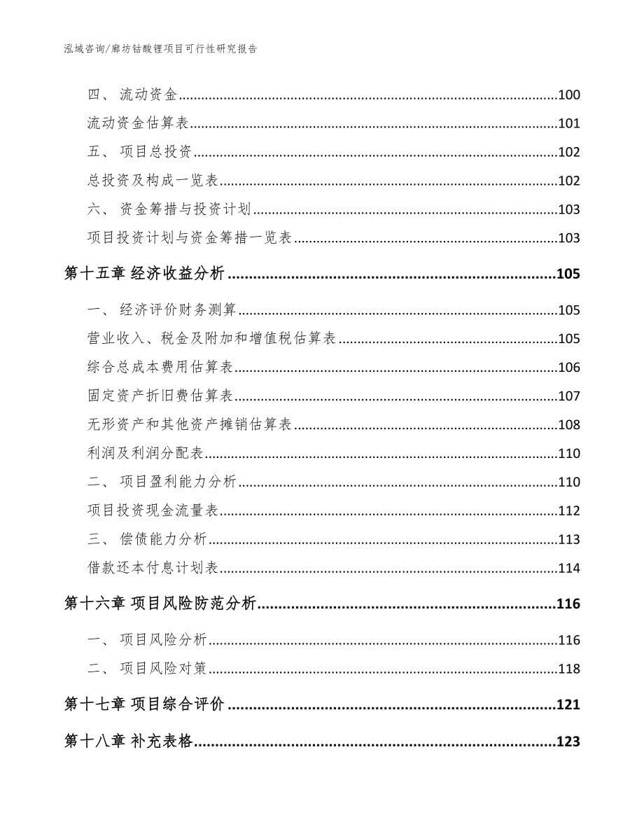 廊坊钴酸锂项目可行性研究报告【范文】_第5页