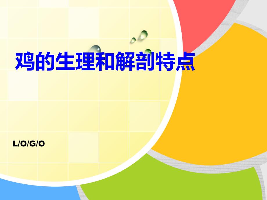 《鸡的生理和解剖》课件_第1页