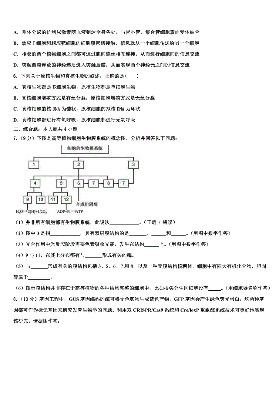 2023学年广西玉林市陆川县高二生物第二学期期末考试模拟试题（含解析）.doc_第2页