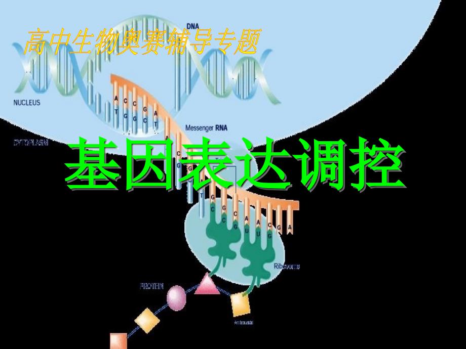 高中生物奥赛讲座基因表达的调控_第1页