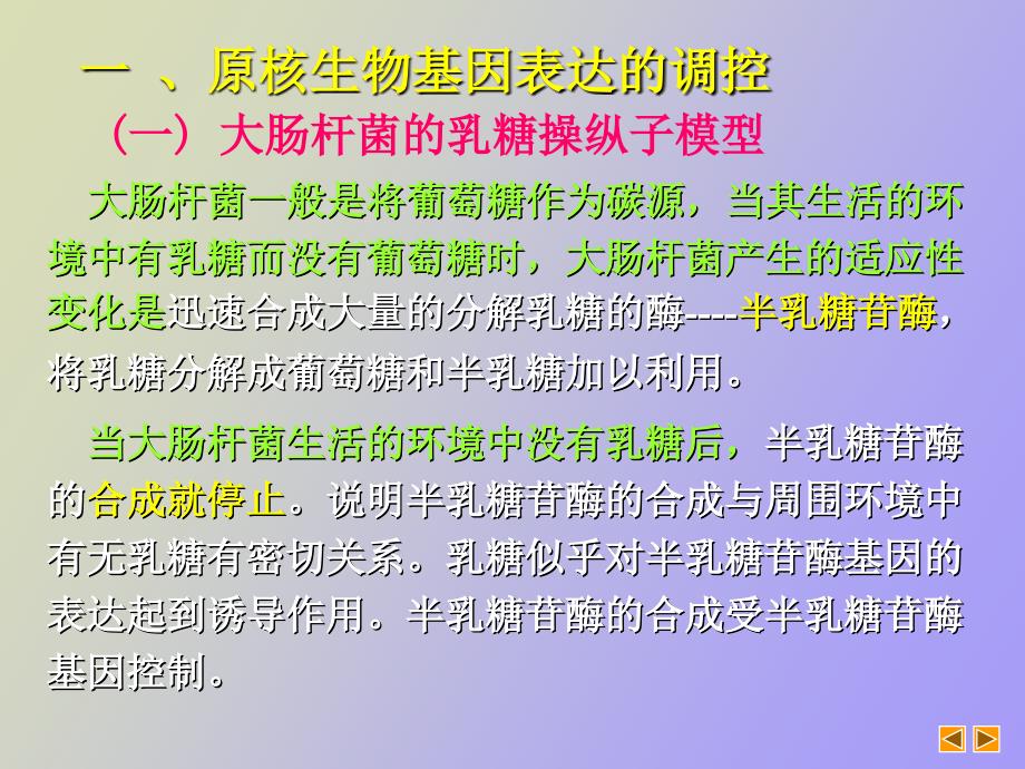 高中生物奥赛讲座基因表达的调控_第3页