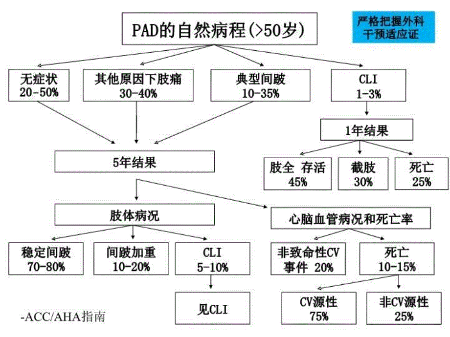 最新外周动脉CTO的选择和治疗幻灯片_第4页