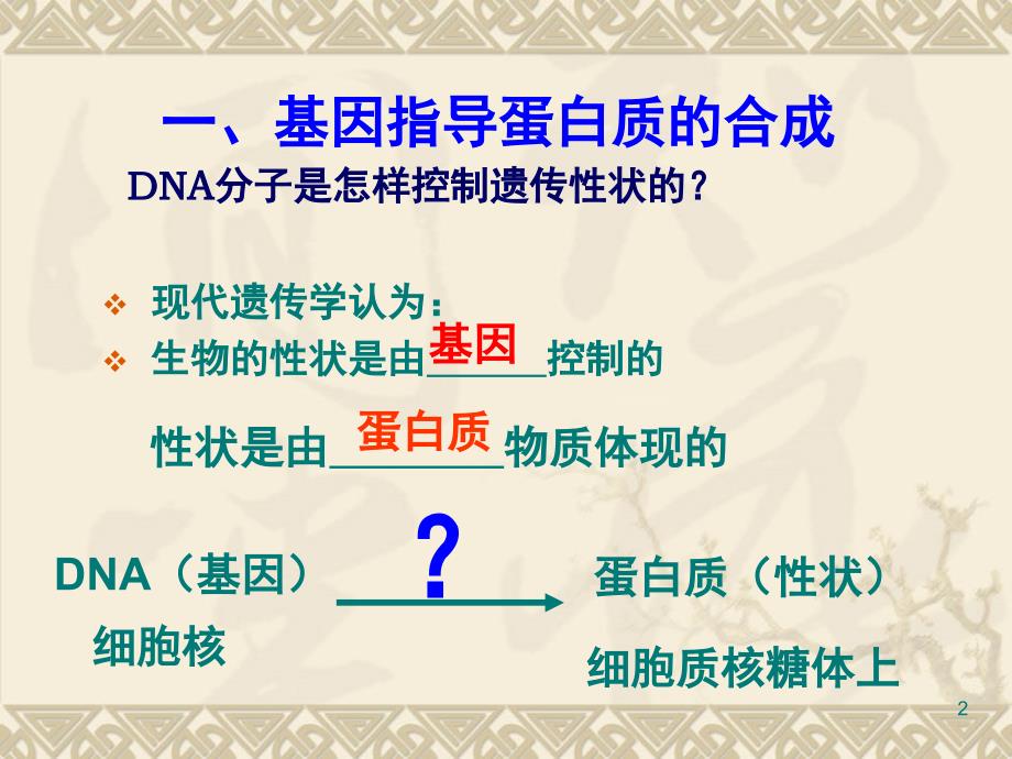 DNA的转录和翻译课堂PPT_第2页