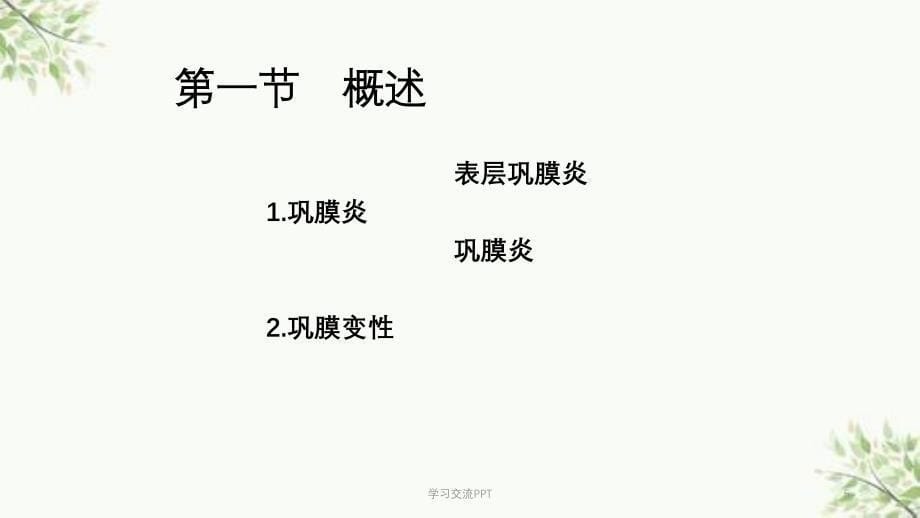 巩膜病医学课件_第5页