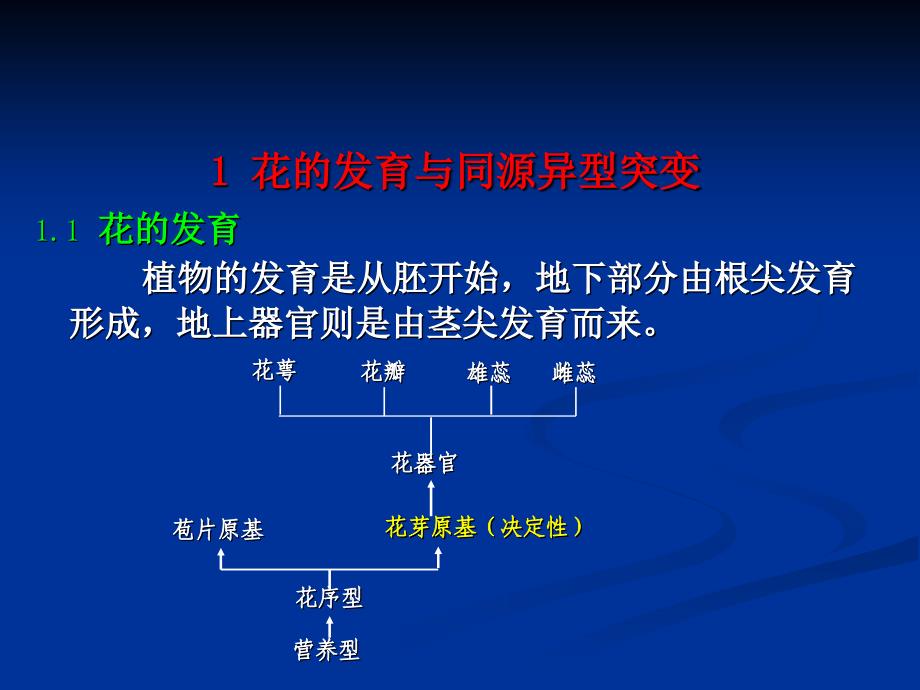 花的发育讲义_第3页