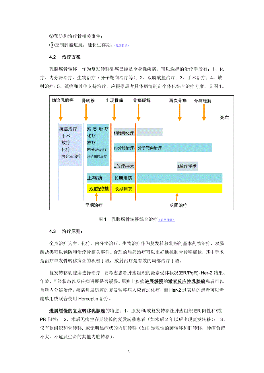 乳腺癌骨转移临床诊疗专家共识.doc_第3页