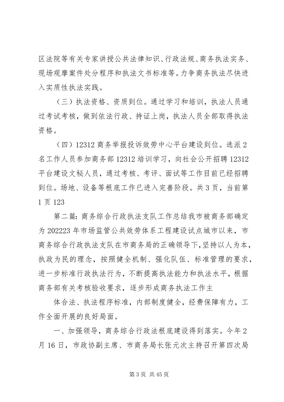 2023年商务综合行政执法支队的工作总结.docx_第3页