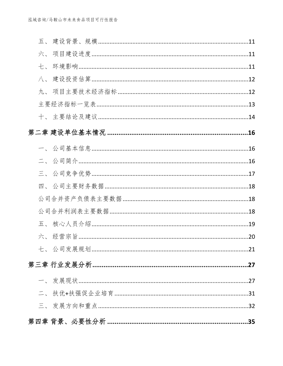 马鞍山市未来食品项目可行性报告（范文）_第3页