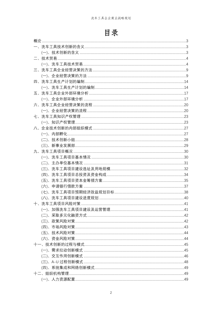 2023年洗车工具企业商业战略规划_第2页