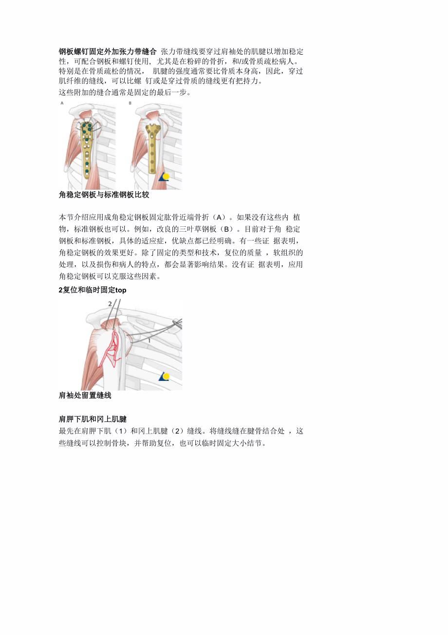 肱骨近端&amp;amp#183;骨折治疗_第3页