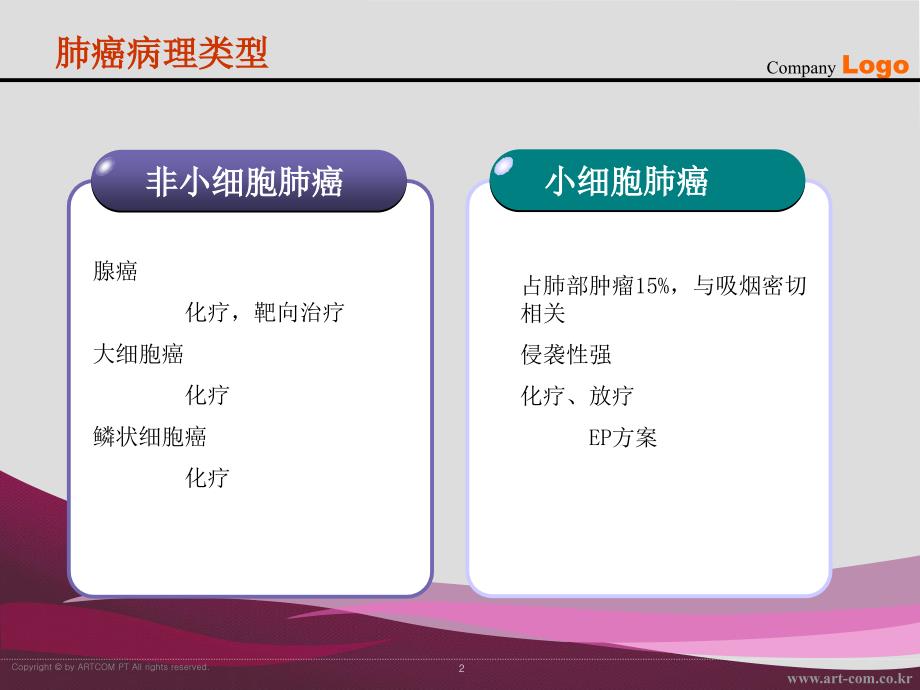 晚期肺癌常用化疗方案介绍.ppt_第2页