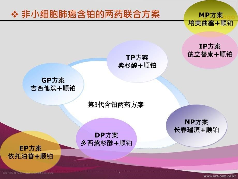 晚期肺癌常用化疗方案介绍.ppt_第5页