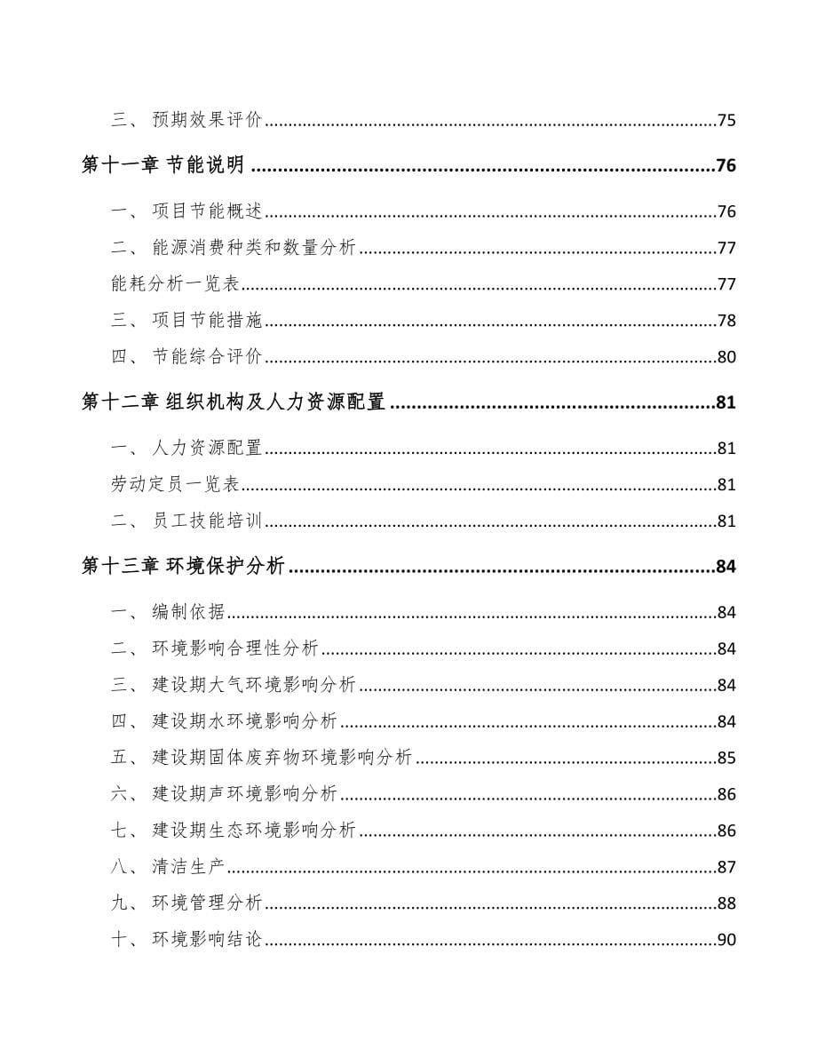 北京5G项目可行性报告_第5页