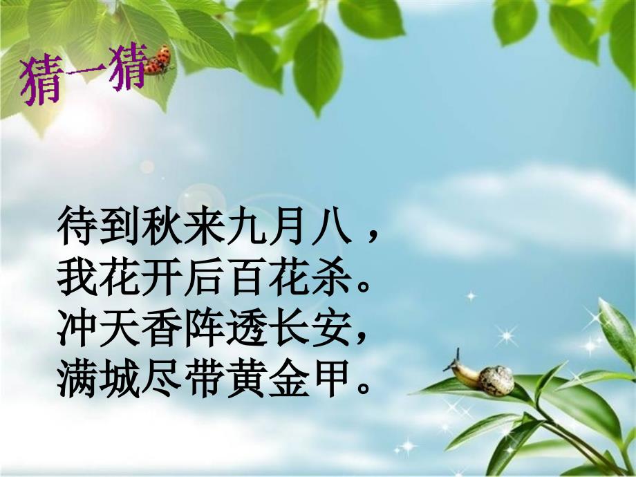 生物入侵者课件_第1页