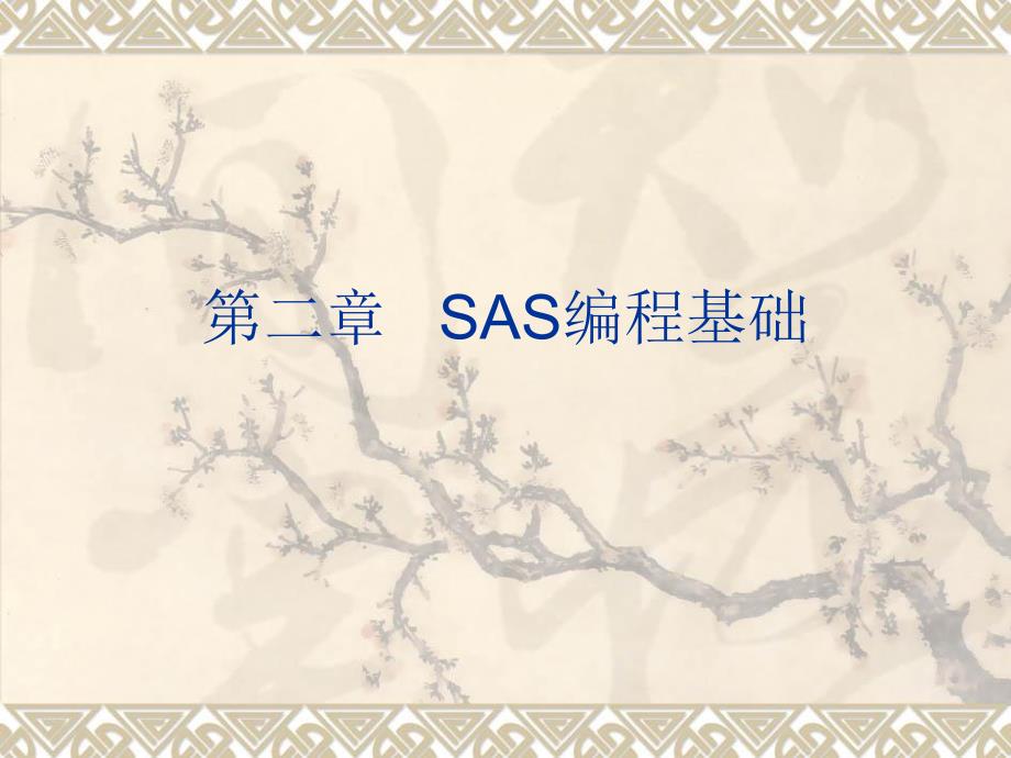 《SAS编程基础》PPT课件.ppt_第1页