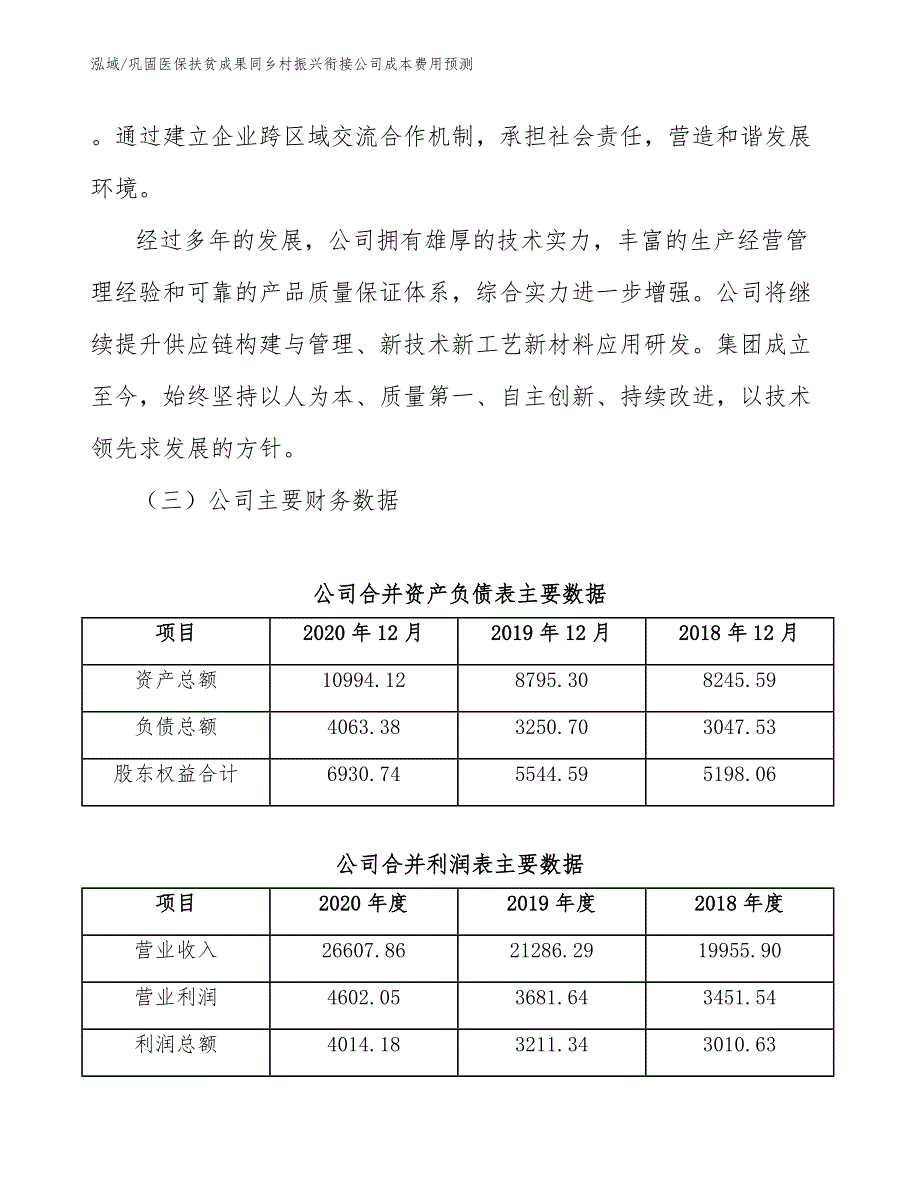 巩固医保扶贫成果同乡村振兴衔接公司成本费用预测（参考）_第3页