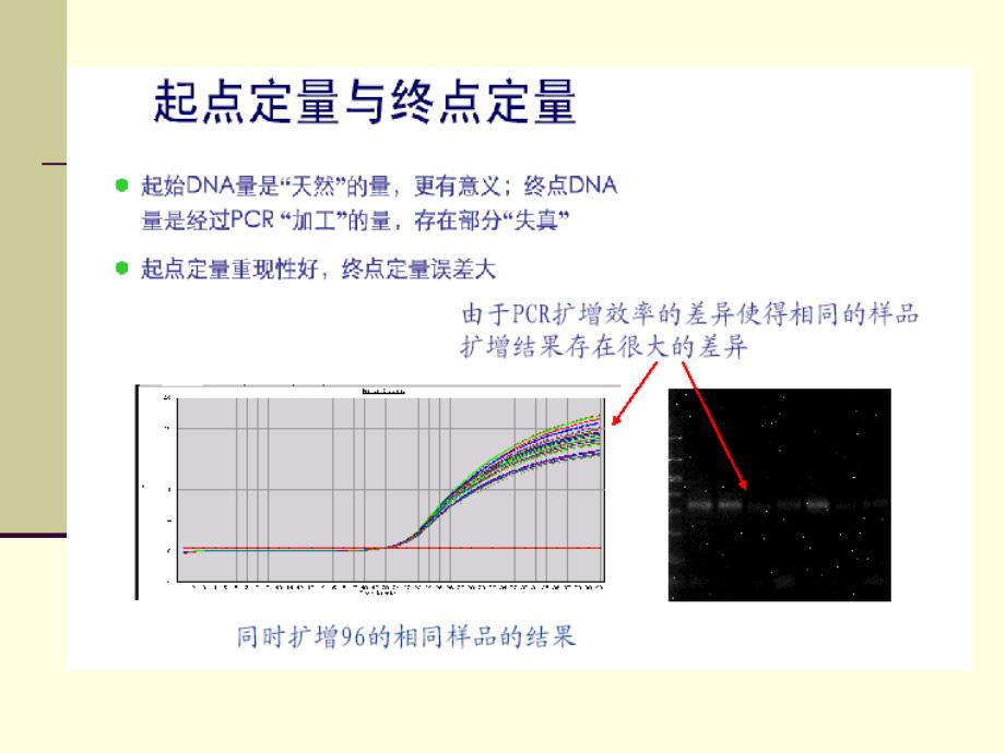 实时荧光定量PCR技术ppt_第5页