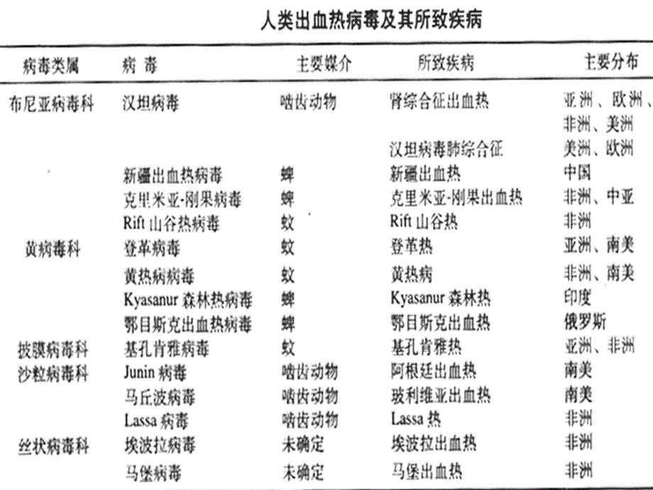 第31章出血热病毒ppt课件_第3页