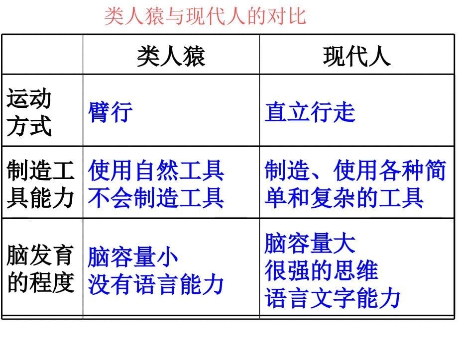 七年级下册生物综合复习_第5页