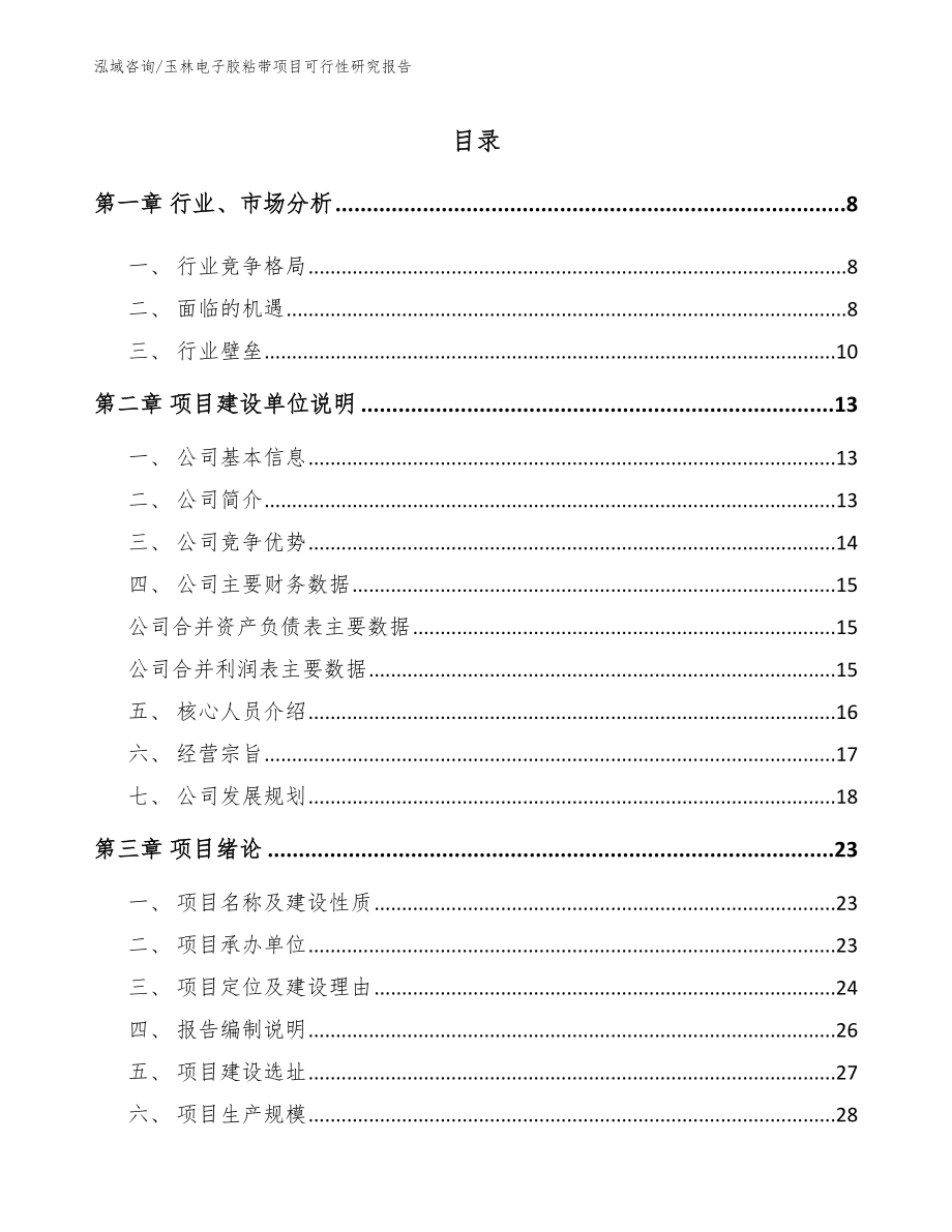 玉林电子胶粘带项目可行性研究报告【模板范本】_第2页