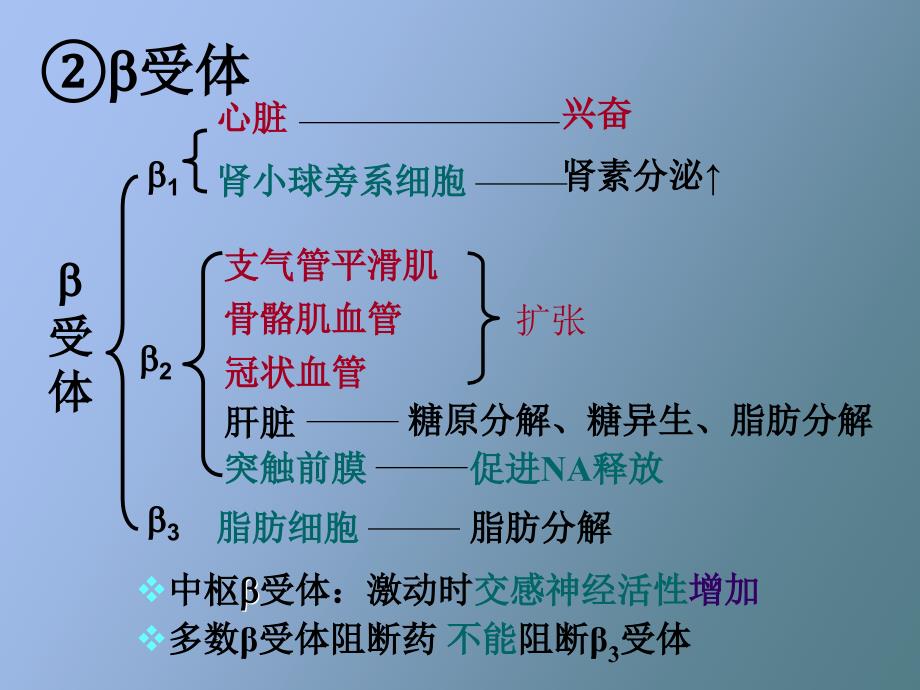 肾上腺素受体激动药_第3页